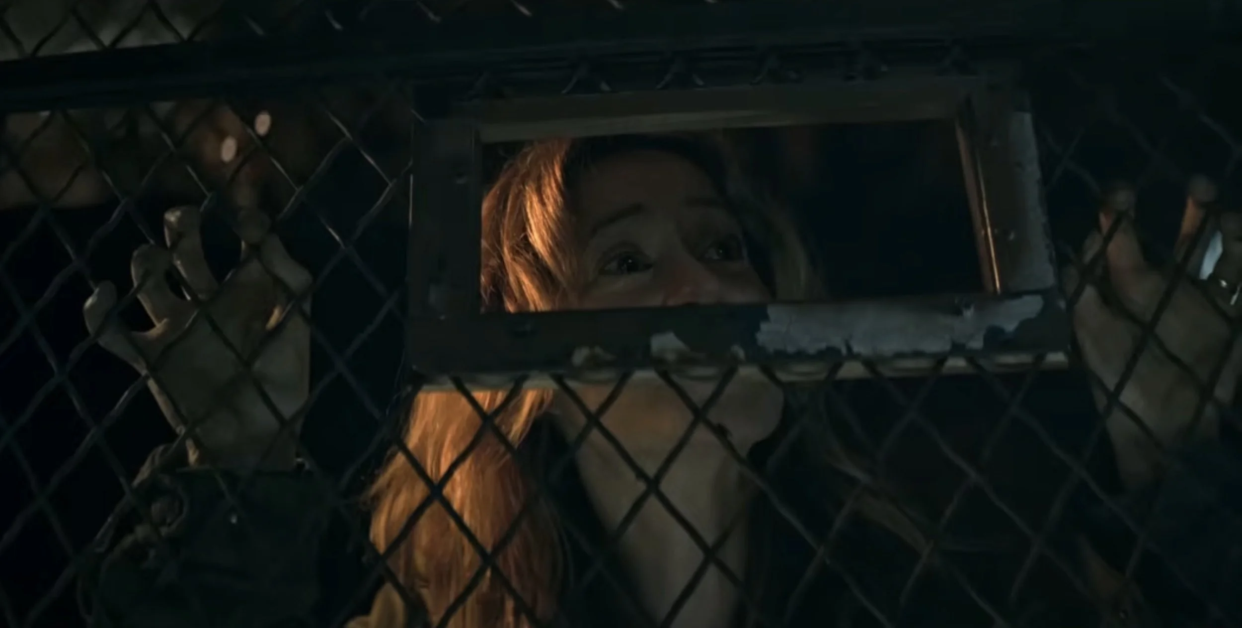 Disturbing trailer for the thriller Mystery Horror Shelby Oaks by producer Mike Flanagan